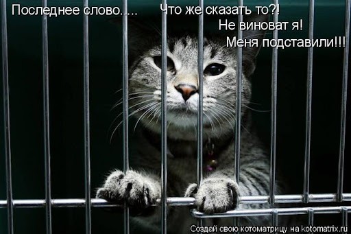 Ни о чем не жалею
