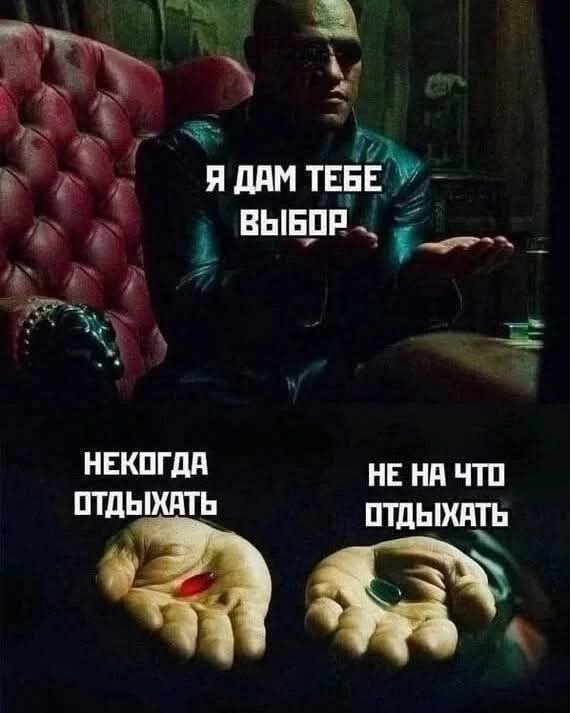 20168356.jpg