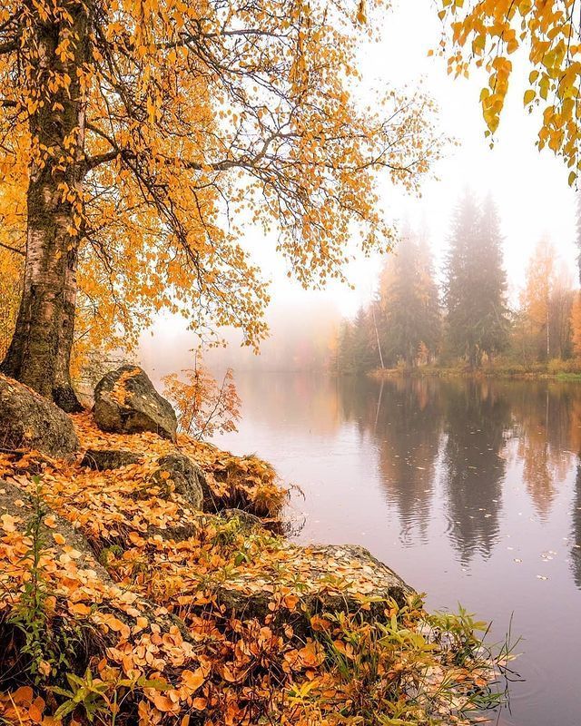 Прикольные и просто красивые картинки 31.10.2025