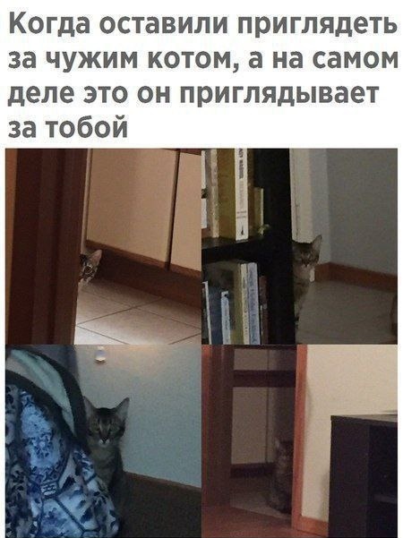 Отличного дня!
