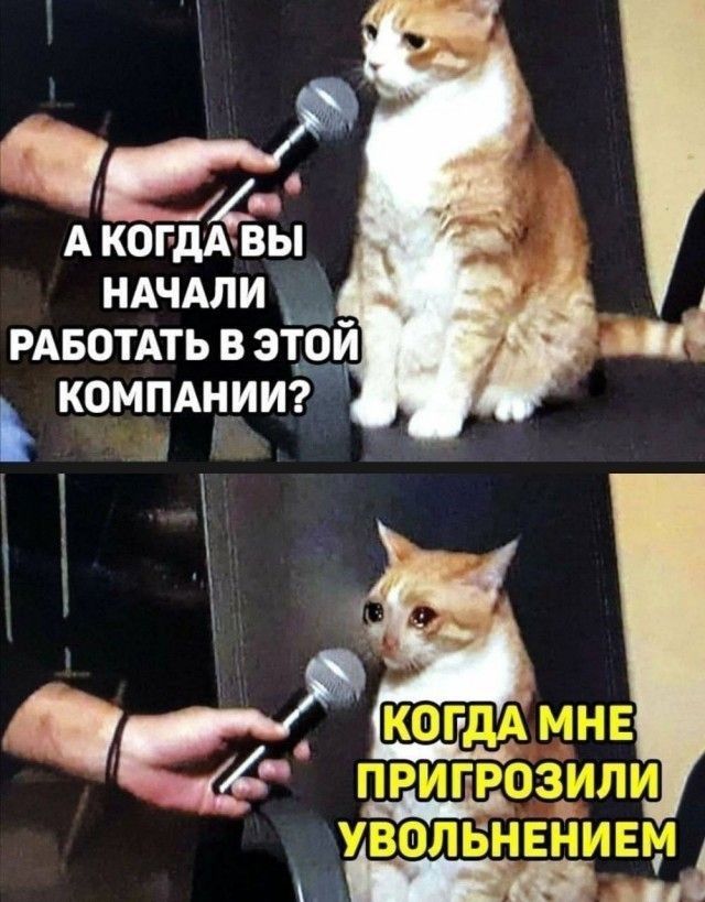 Немного картинок на ночь
