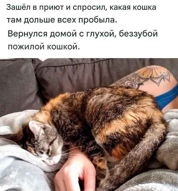 Немного воскресных картинок