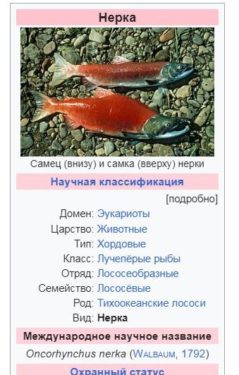 "В инфаркте мужа виновата жена": правда, которая не нравится женщинам