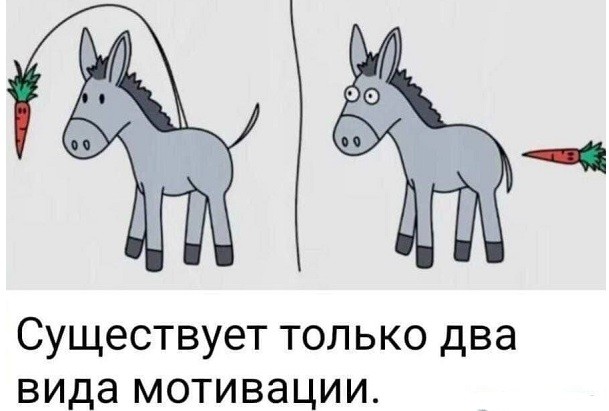 Картинки для деградации 234 (разной степени свежести)