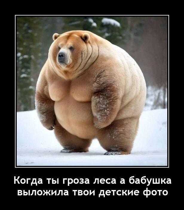 Картинки для деградации 246 (разной степени свежести)