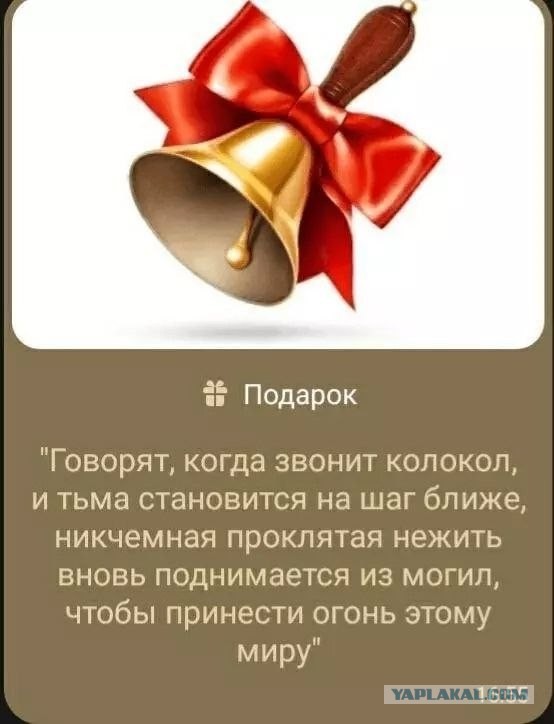 Холостякую и что заметил