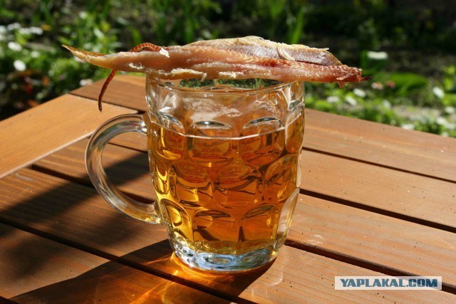 Универсальный скачиватель — видео и музыка с 1000+ сайтов (Обновление) 3