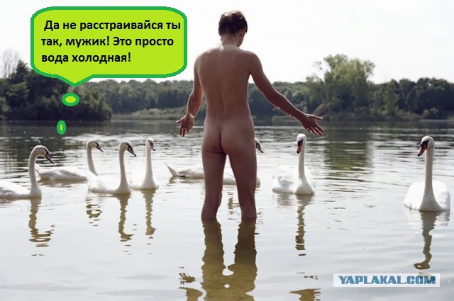 Придумайте название :)
