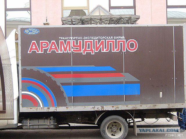 Маразмы года 2013