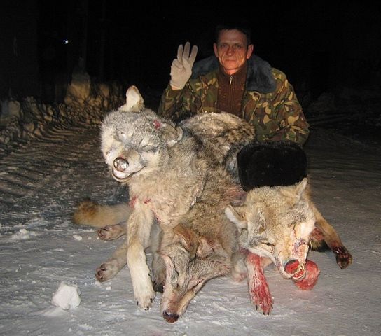 Хрюша и Филя