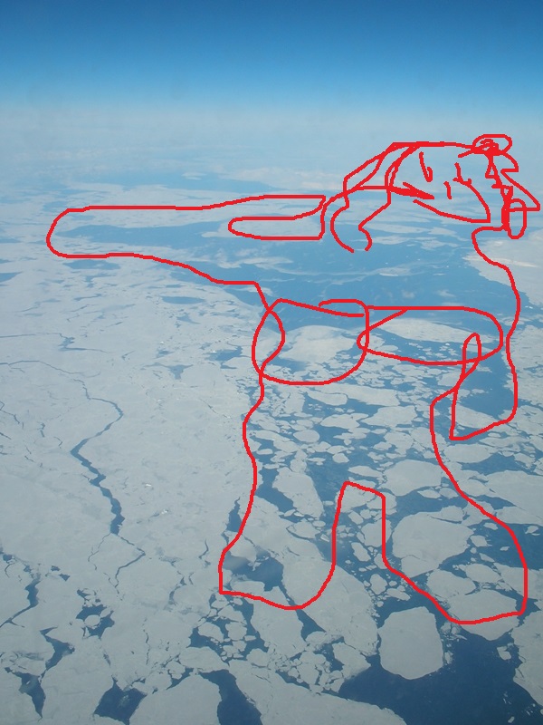 27 причин взять место у окна