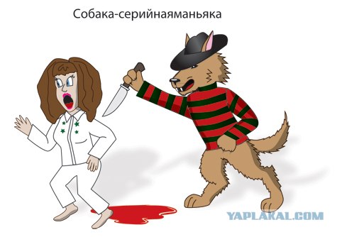 Собаки - одуреваки.