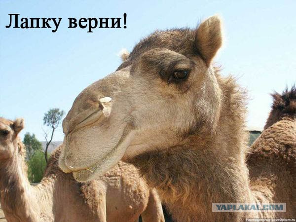 Главное - задний план