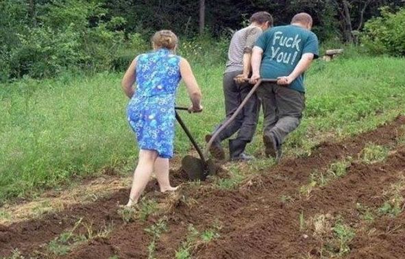 Свежие картинки из сети