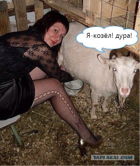 Соцсети - это настоящий филиал АДА на земле