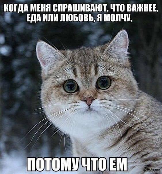 Веселые картинки
