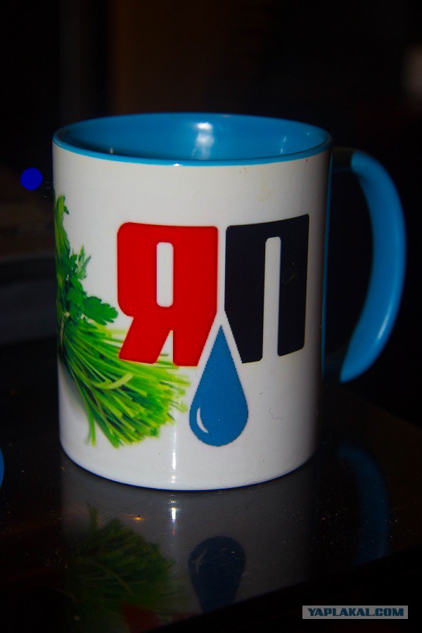 Одна дома, одна на работе