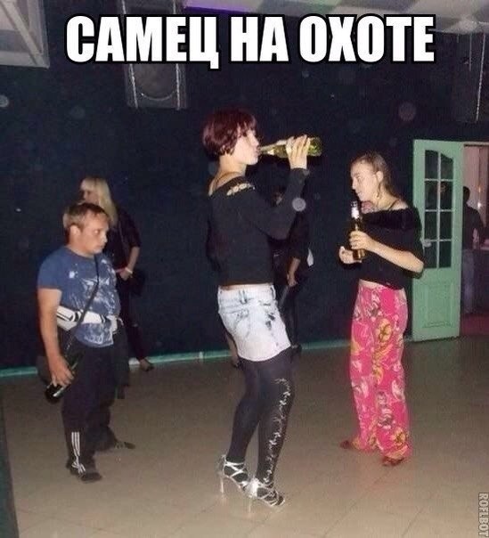 Смешные комментарии из социальных сетей