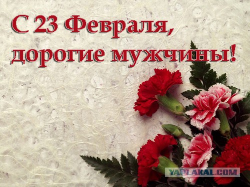 С 23 Февраля!