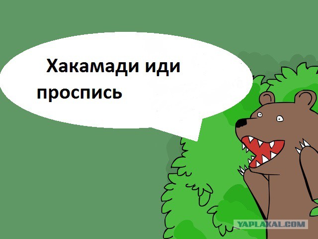 «Прямая линия» с Владимиром Путиным