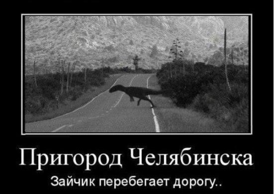 Приколы из сети на 18.05.2015