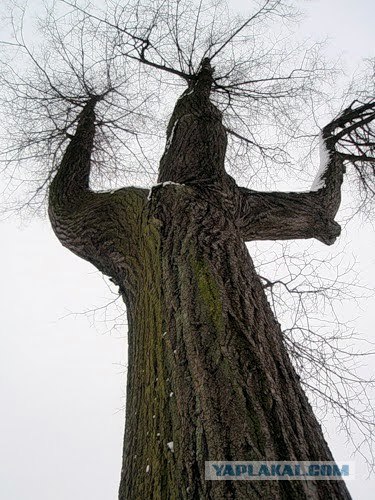 В Египте открыли некрополь Серапеум