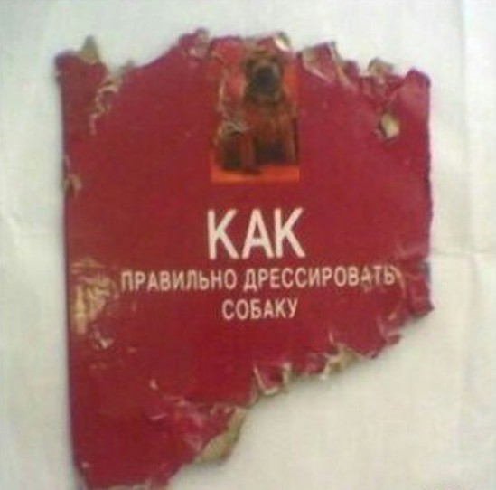 Прикольные картинки