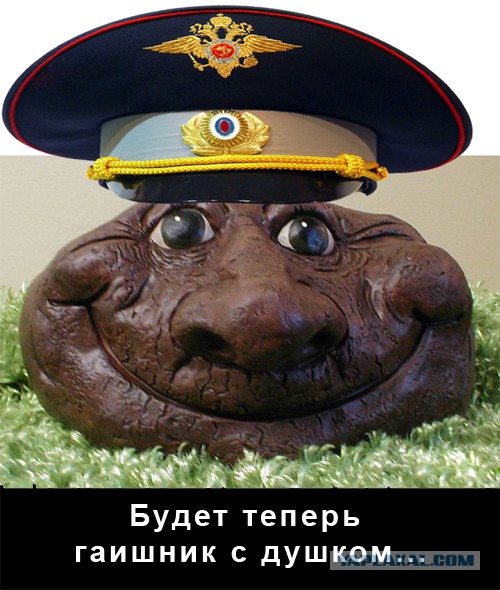 Сотрудника ГИБДД облили дерьмом. г.Курган