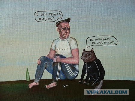 Мудрый кот