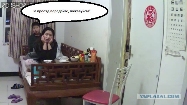 За что я люблю китайцев