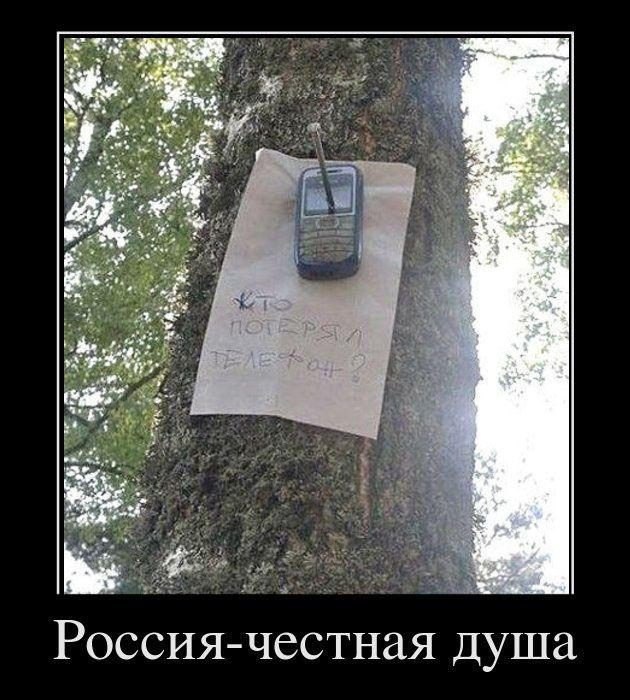 Подборка картинок