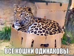 Размеры коробочки на степень удобства не влияют
