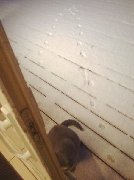 Подборка  картинок