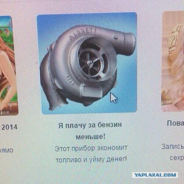 Забавные картинки из Сети