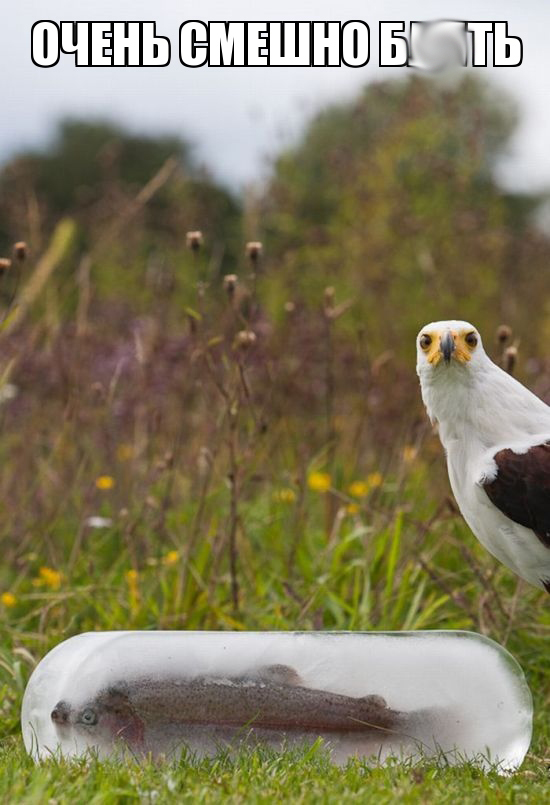 Для Поднятия Настроения