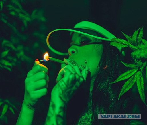 Немного лёгкой наркомании в картинках