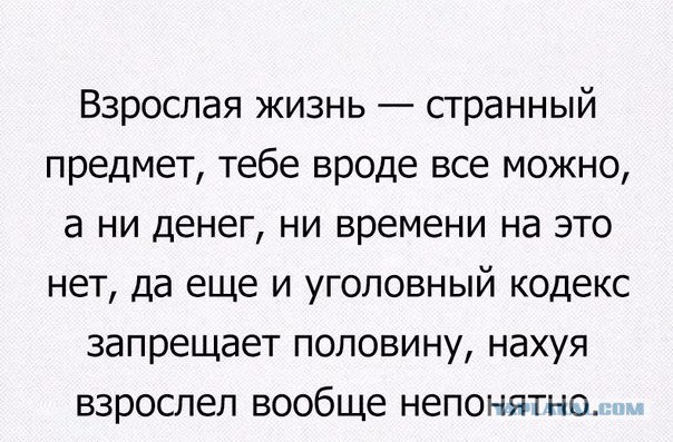 Смешные комментарии из социальных сетей 24.06.2016