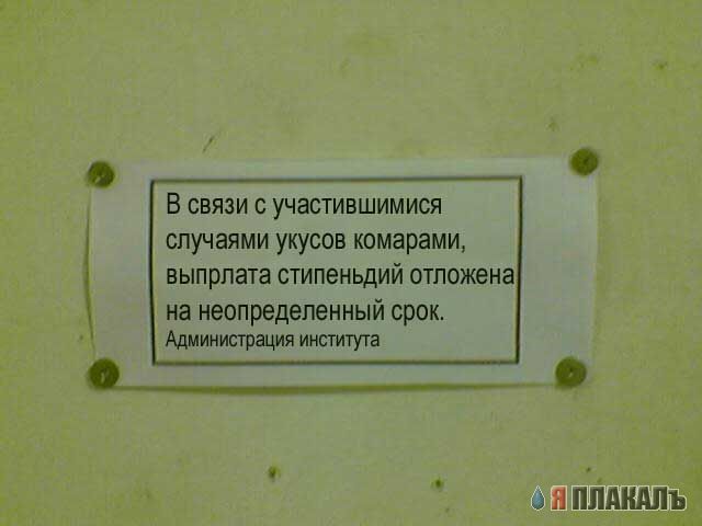 Фотожаба: Обьявление от комаров
