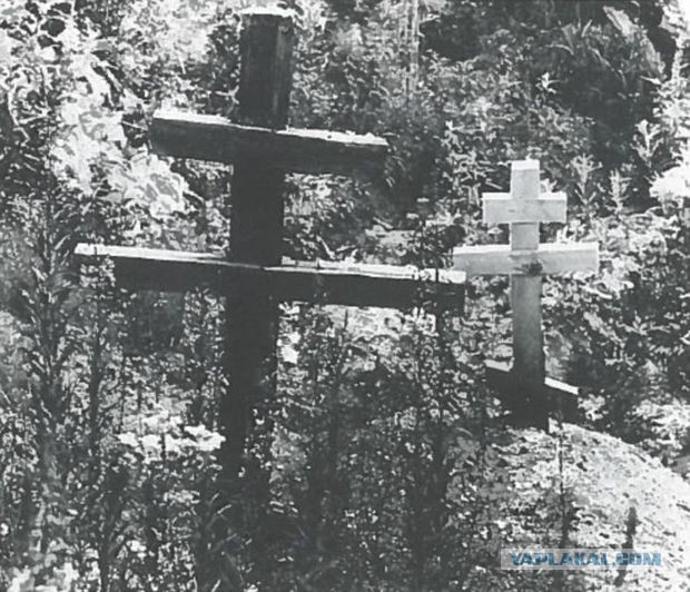 Тайга, страшные истории