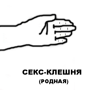 Cэкси