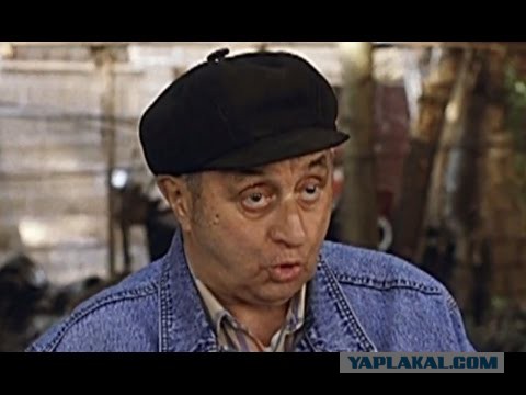 Я сорок лет за рулём