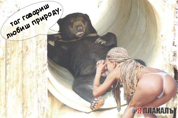Тема Лета