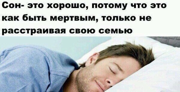 Картинки из мусорной корзинки 2