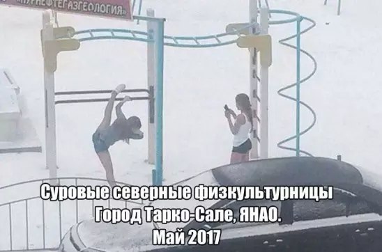 Смешные картинки