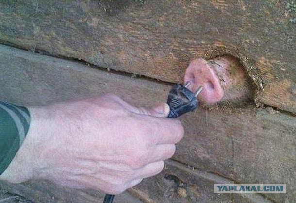 Не все на западе могут позволить себе мясо.