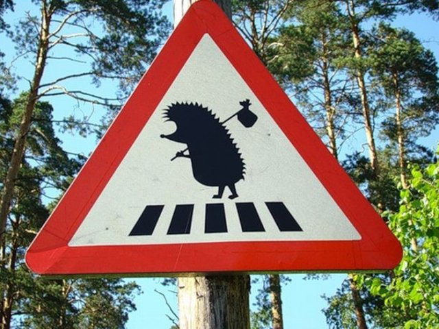 Счастья всем мировым ежам!