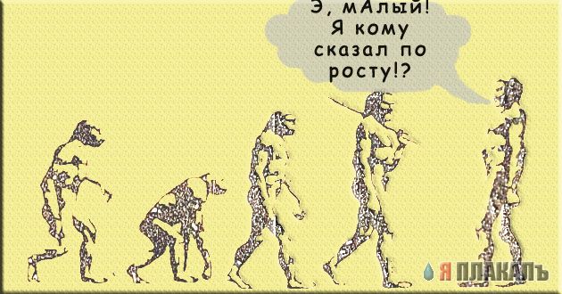 Учебник по эволюции на новый лад