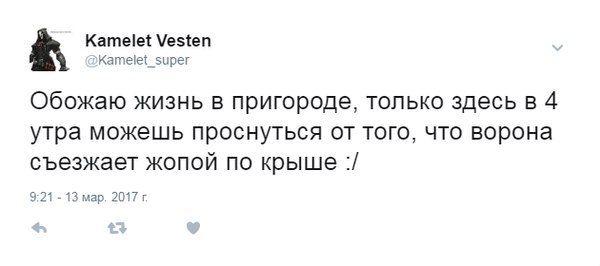 Воскресной ерунды 6 картинок