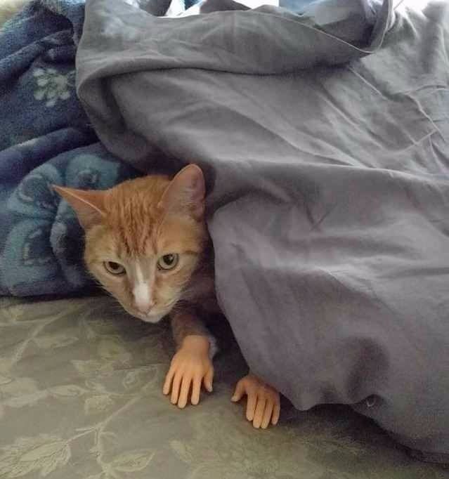 Немного милоты
