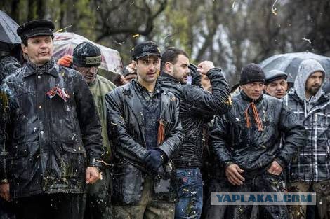 Германия передала Украине грамоту Петра I